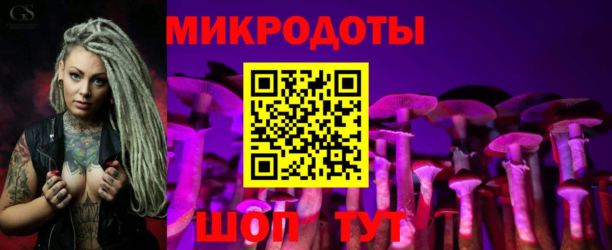 Галлюциногенные грибы Magic Shrooms  где купить наркотик  Псилоцибиновые грибы Psilocybe  Славянск-на-Кубани  Вход с VPN 